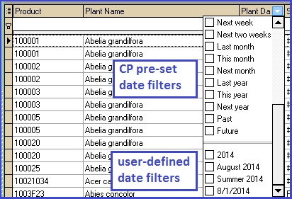 Date Filters