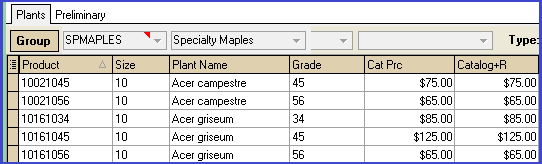 Search Group View