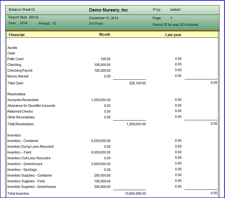 Balance Sheet Report